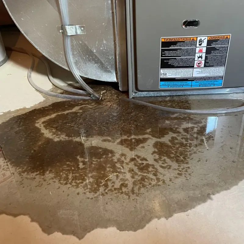 Pipe Burst and Leak Restoration in Boyle County, KY