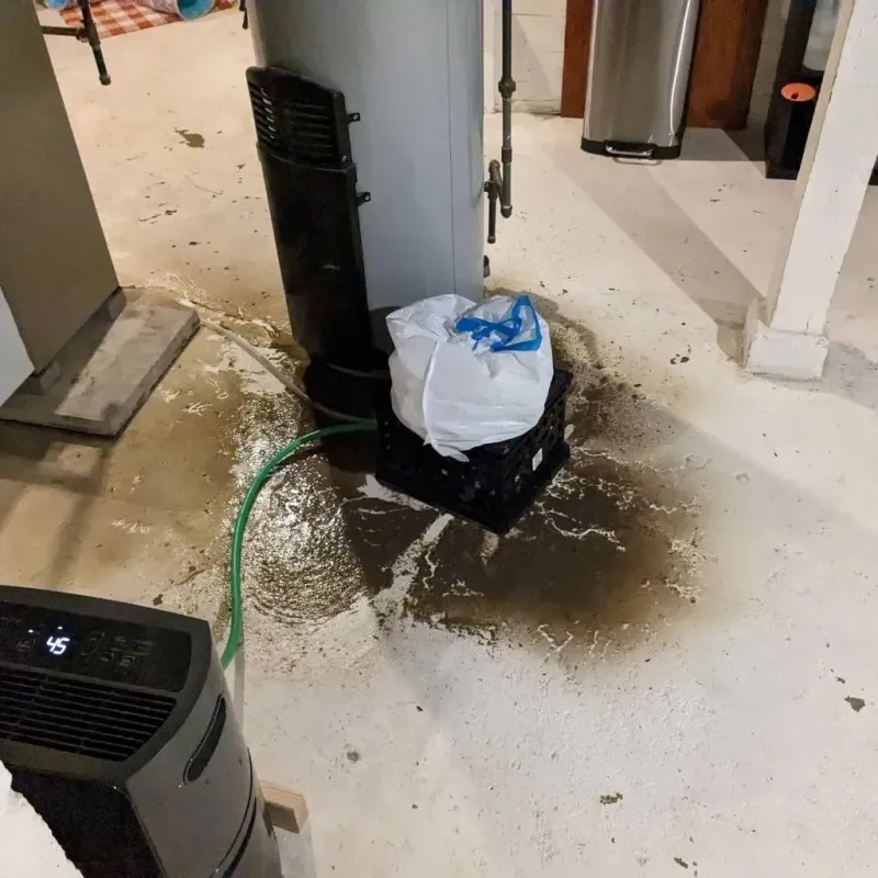 Sewage Backup Cleanup Service in Boyle County, KY